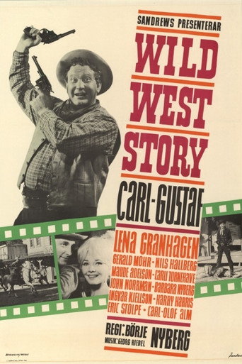 Póster de Wild West Story