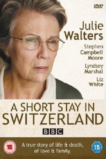 Póster de A Short Stay in Switzerland