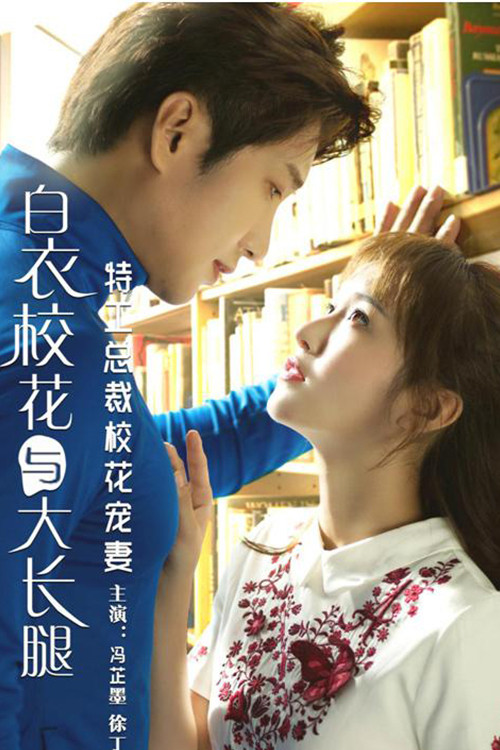 Póster de 特工总裁校花宠妻