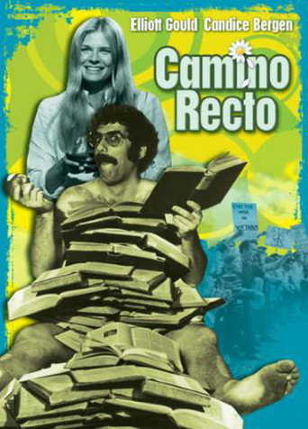 Póster de Getting Straight
