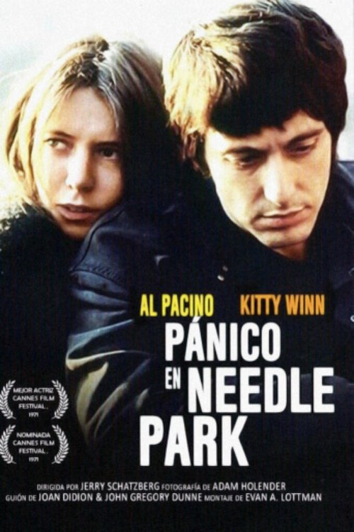 Póster de Pánico en Needle Park