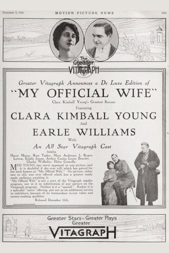 Póster de My Official Wife