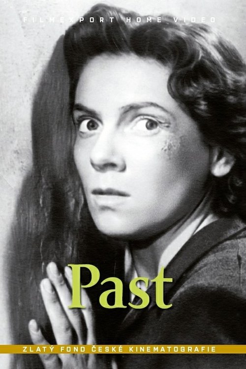 Póster de Past