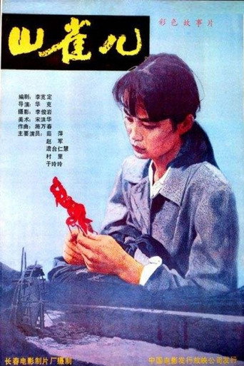 Póster de 山雀儿