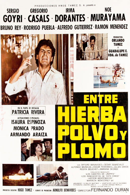 Póster de Entre Hierba, Polvo y Plomo