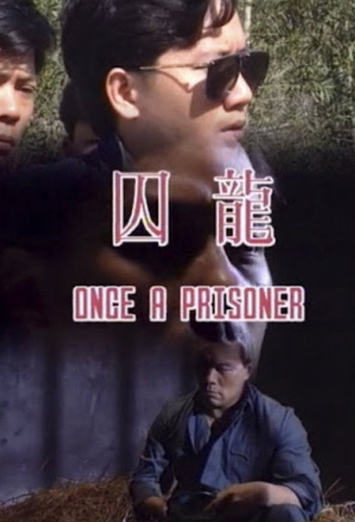 Póster de 囚龍