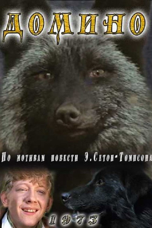 Póster de Домино