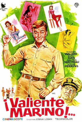 Póster de Ensign Pulver