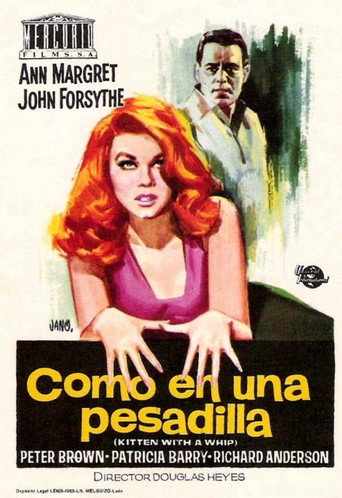 Póster de Kitten with a Whip