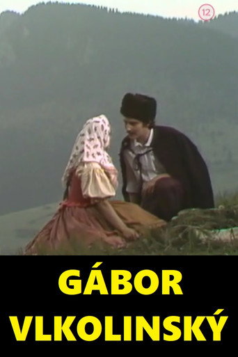 Póster de Gábor Vlkolinský
