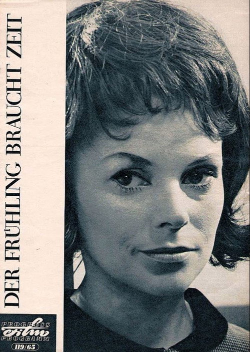 Póster de Der Frühling braucht Zeit