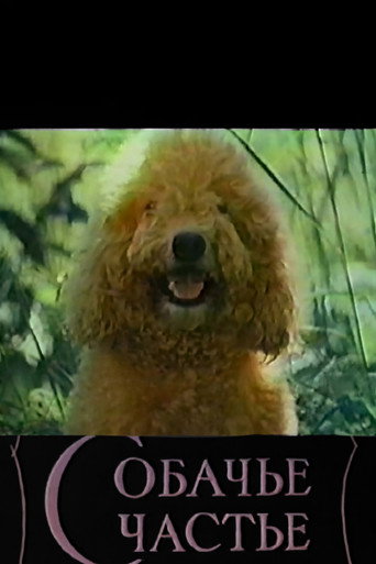 Póster de Собачье счастье