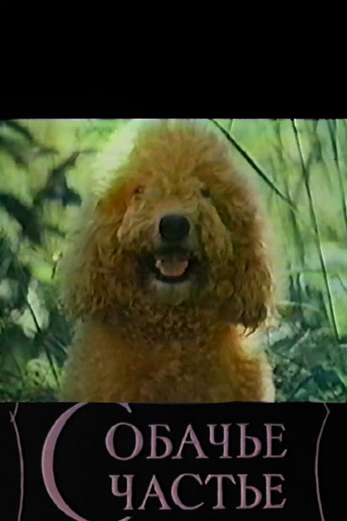 Póster de Собачье счастье