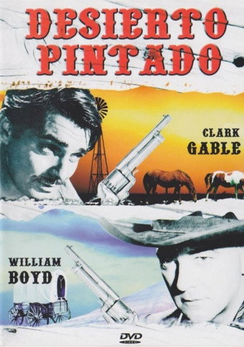 Póster de The Painted Desert