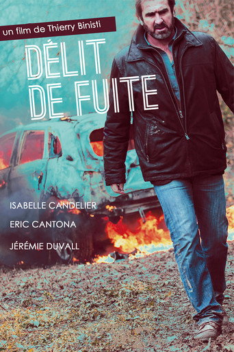 Póster de Délit de fuite