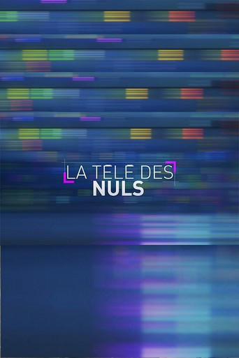 Póster de La télé des Nuls