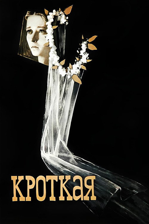 Póster de Кроткая