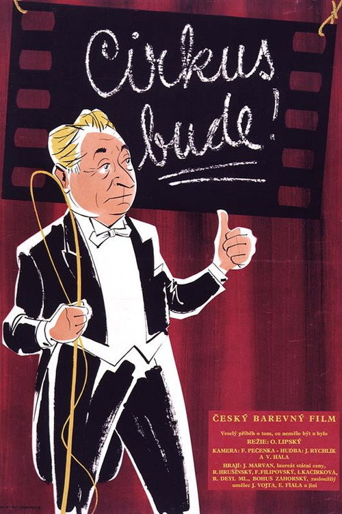 Póster de Cirkus bude!