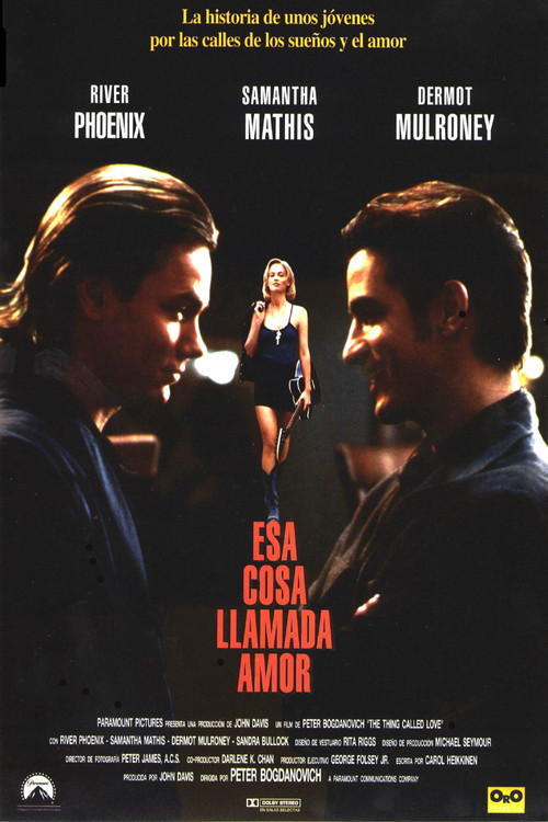 Póster de Una cosa llamada amor