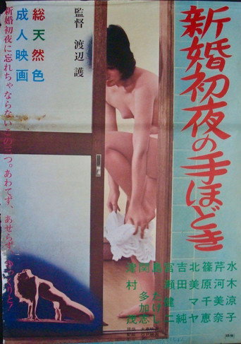 Póster de 新婚初夜の手ほどき