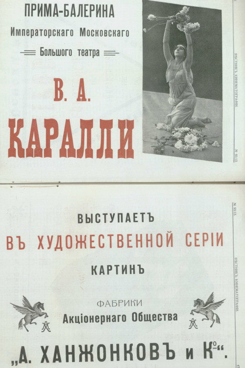 Póster de Хризантемы