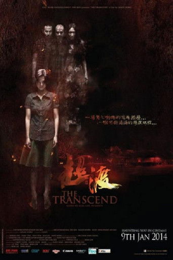 Póster de The Transcend