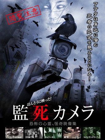 Póster de ほんとうに映った!監死カメラ