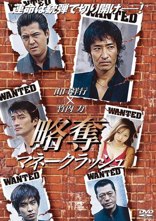 Póster de 略奪～マネークラッシュ～