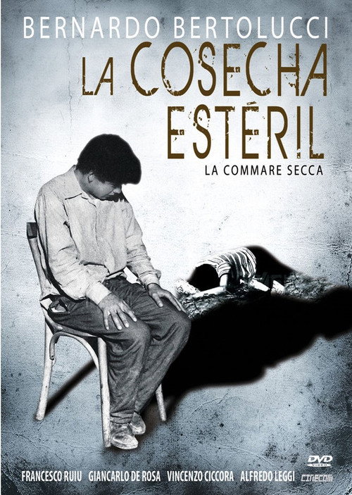 Póster de La commare secca