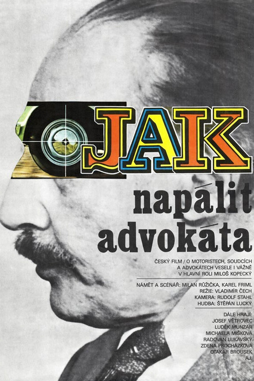 Póster de Jak napálit advokáta