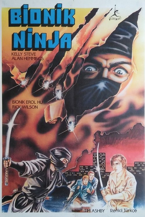Póster de Ninja Assassins