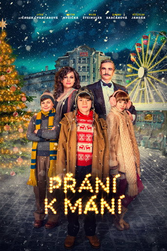Póster de Přání k mání