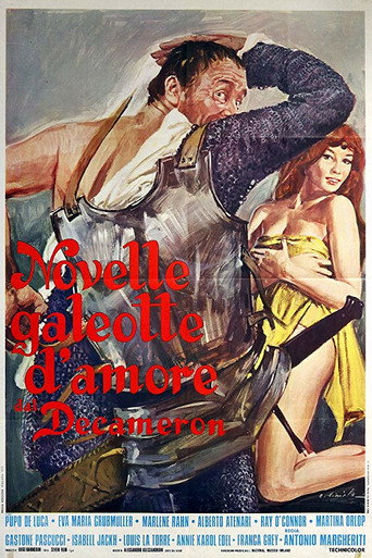 Póster de Novelle galeotte d'amore