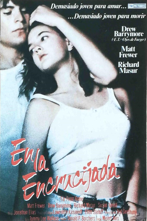 Póster de En la encrucijada