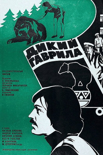 Póster de Дикий Гаврила