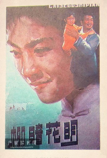 Póster de 柳暗花明
