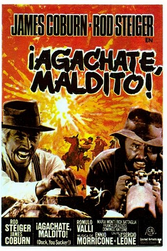 Póster de Giù la testa