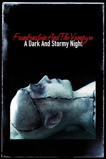 Póster de Frankenstein and the Vampyre: A Dark and Stormy Night