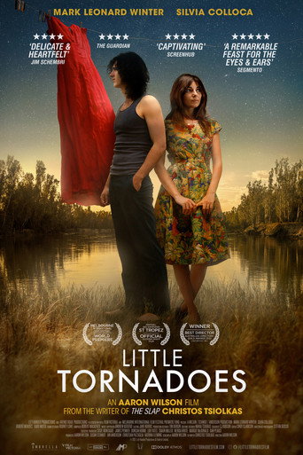 Póster de Little Tornadoes