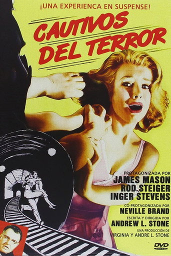 Póster de Cry Terror!
