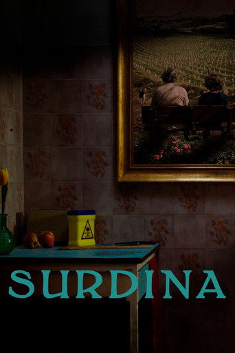 Póster de Surdina