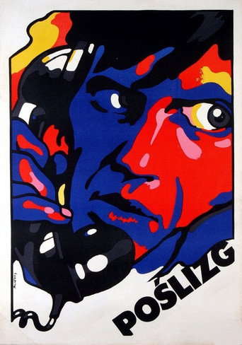 Póster de Poślizg