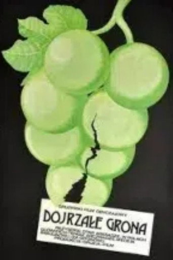 Póster de Ripe Bunches