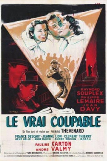 Póster de Le vrai coupable