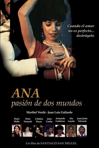 Póster de El señor de los Llanos