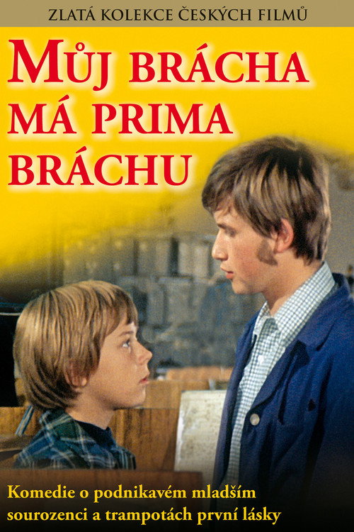 Póster de Můj brácha má prima bráchu