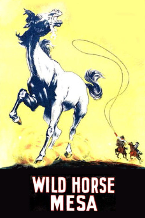 Póster de Wild Horse Mesa