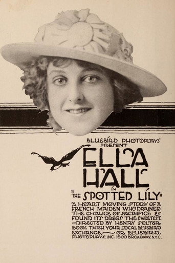 Póster de The Spotted Lily