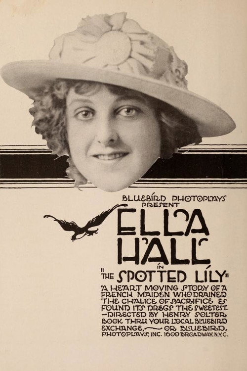 Póster de The Spotted Lily