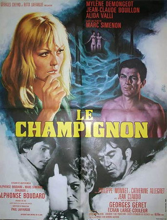 Póster de Le champignon